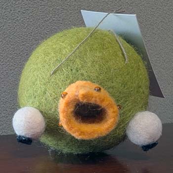モンゴルのカエル真上から