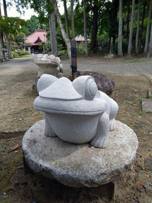 境内のカエル1