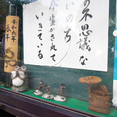 掲示板のカエル