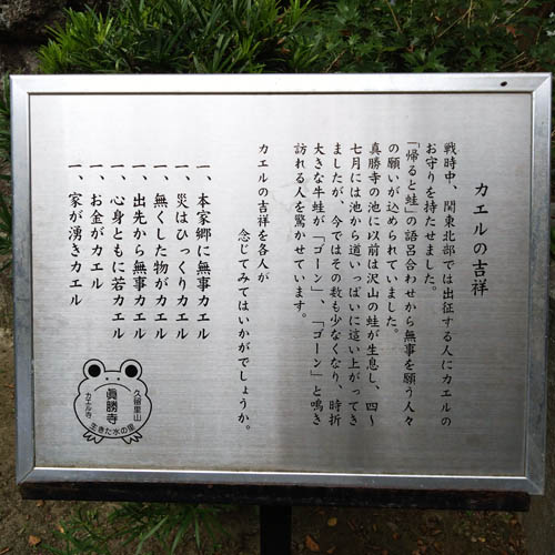 カエルに託す願い