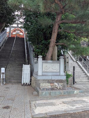 石段下のカエル