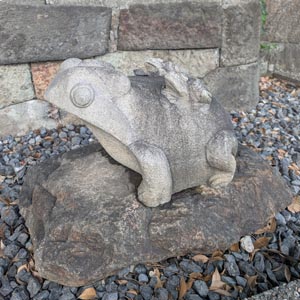石段下のカエル2
