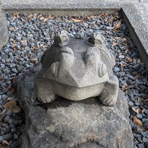 石段下のカエル3