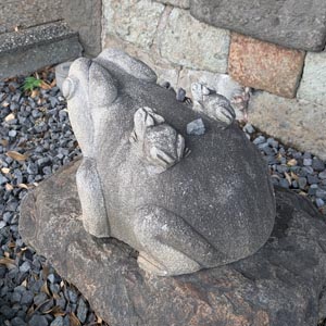 石段下のカエル4