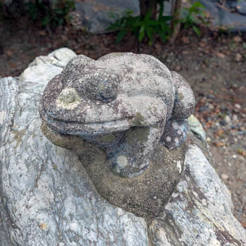 狛蛙左2