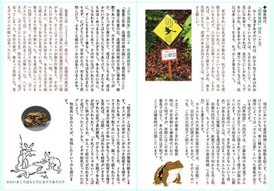 蛙史2本文