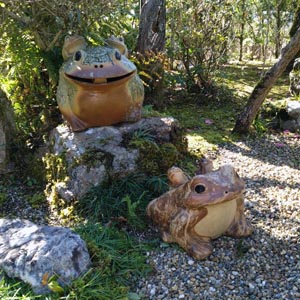 庭の蛙3