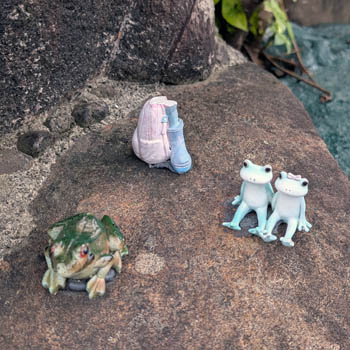 小さなカエルたち